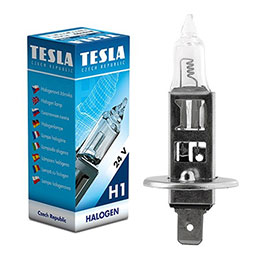 TESLA 24VH1 SIJALICA B10102
